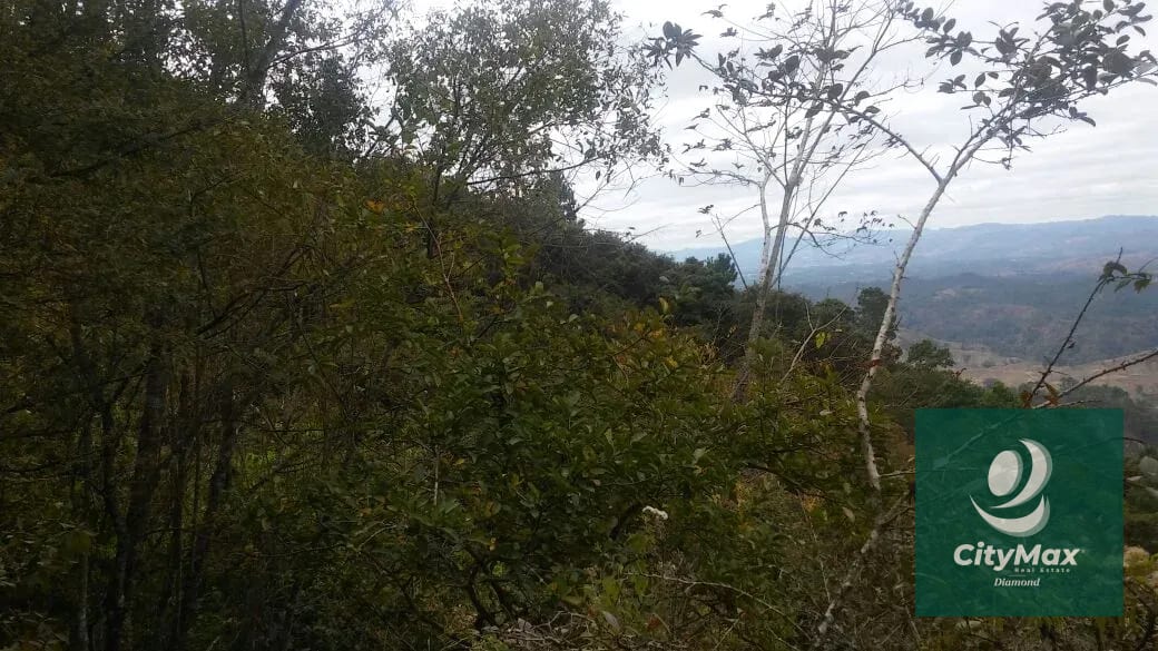 En Venta 70 Manzanas Terreno Boscoso San Pedro Ayampuc — Finca en Venta en San Pedro Ayampuc, Guatemala, Ciudad — foto 12 de 16