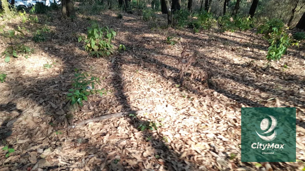 Terreno de esquina en Venta en El Encinal Zona 7 Mixco — Terreno en Venta en Zona 7 Mixco, Guatemala, Ciudad — foto 5 de 15