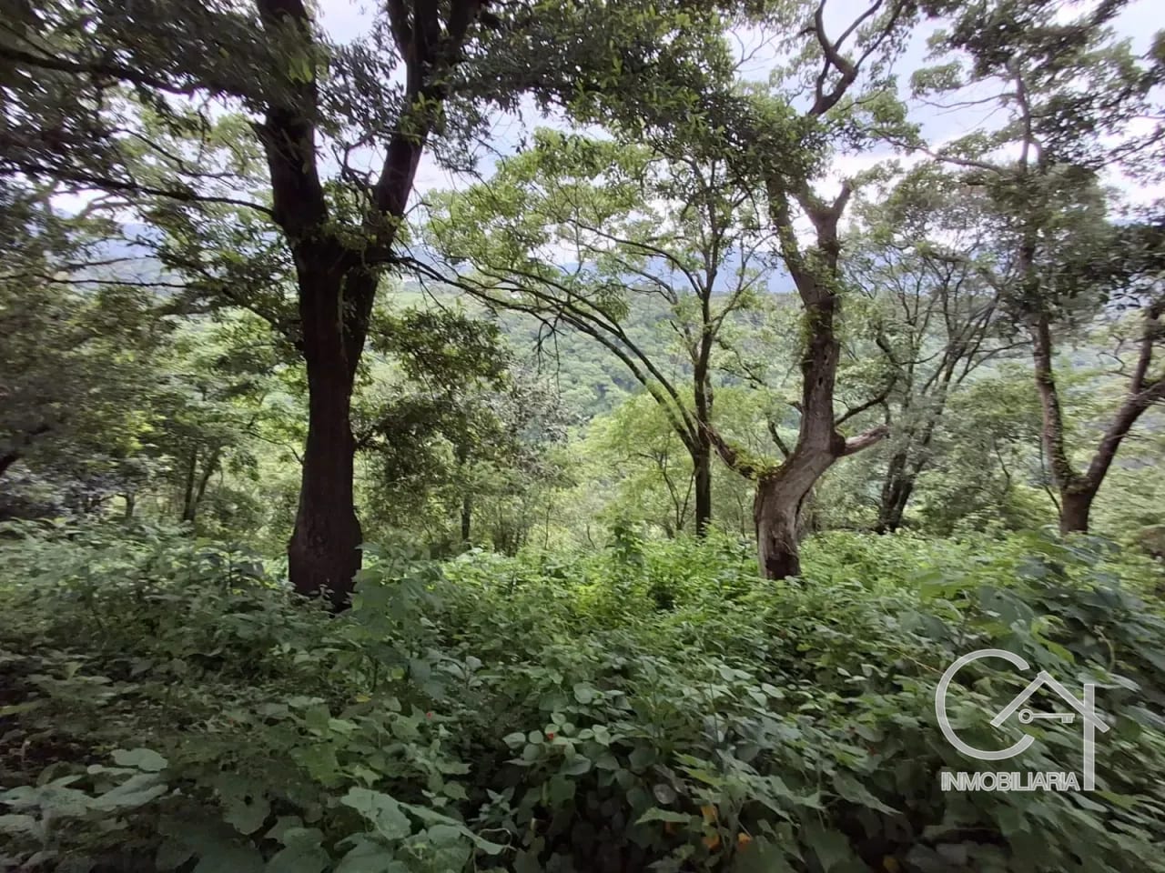 Terrenos en Venta – Santa Lucía Milpas Altas — Terreno en Venta en Santa Lucía Milpas Altas, Sacatepéquez — foto 4 de 6