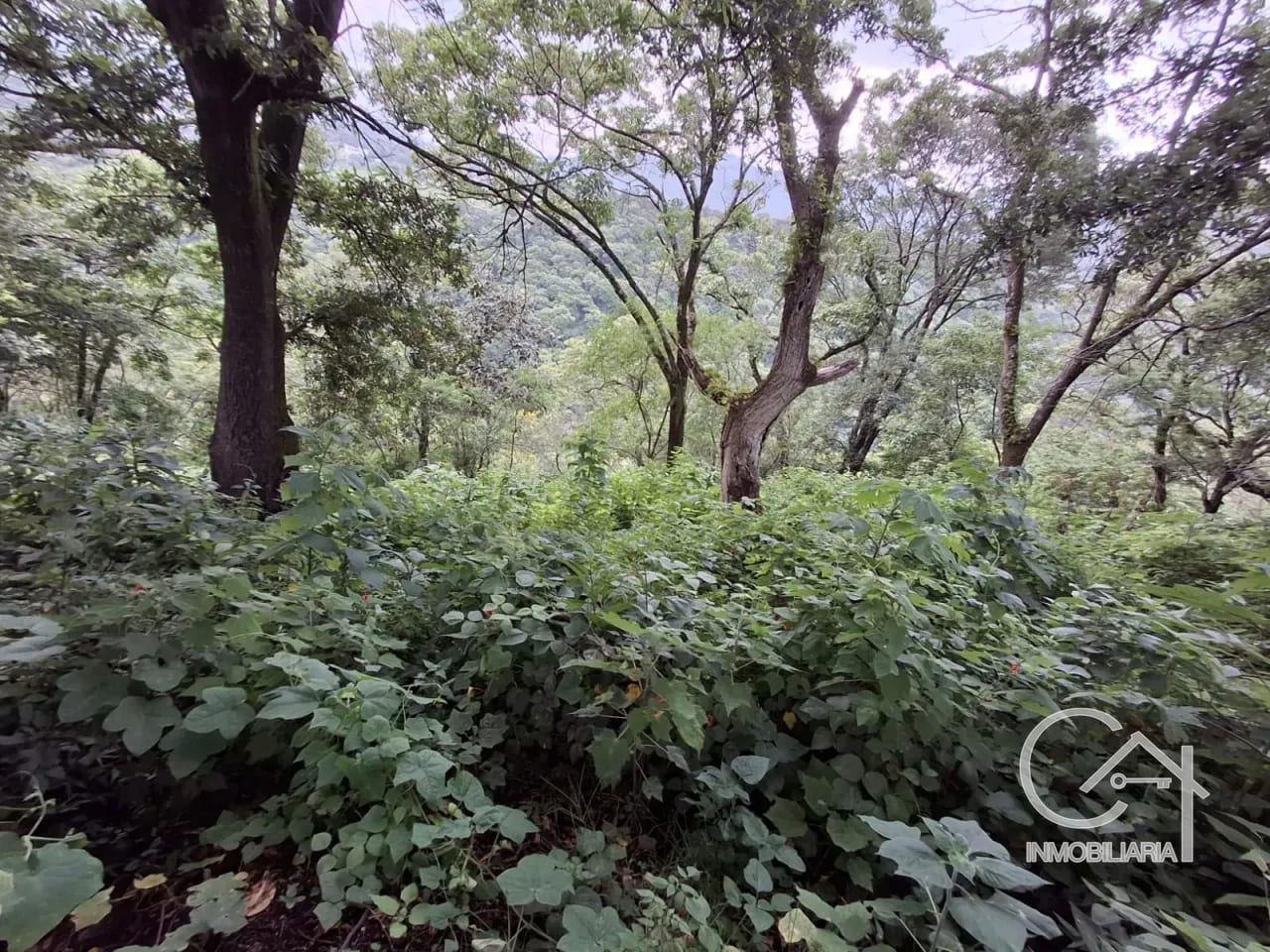 Terrenos en Venta – Santa Lucía Milpas Altas — Terreno en Venta en Santa Lucía Milpas Altas, Sacatepéquez — foto 5 de 6