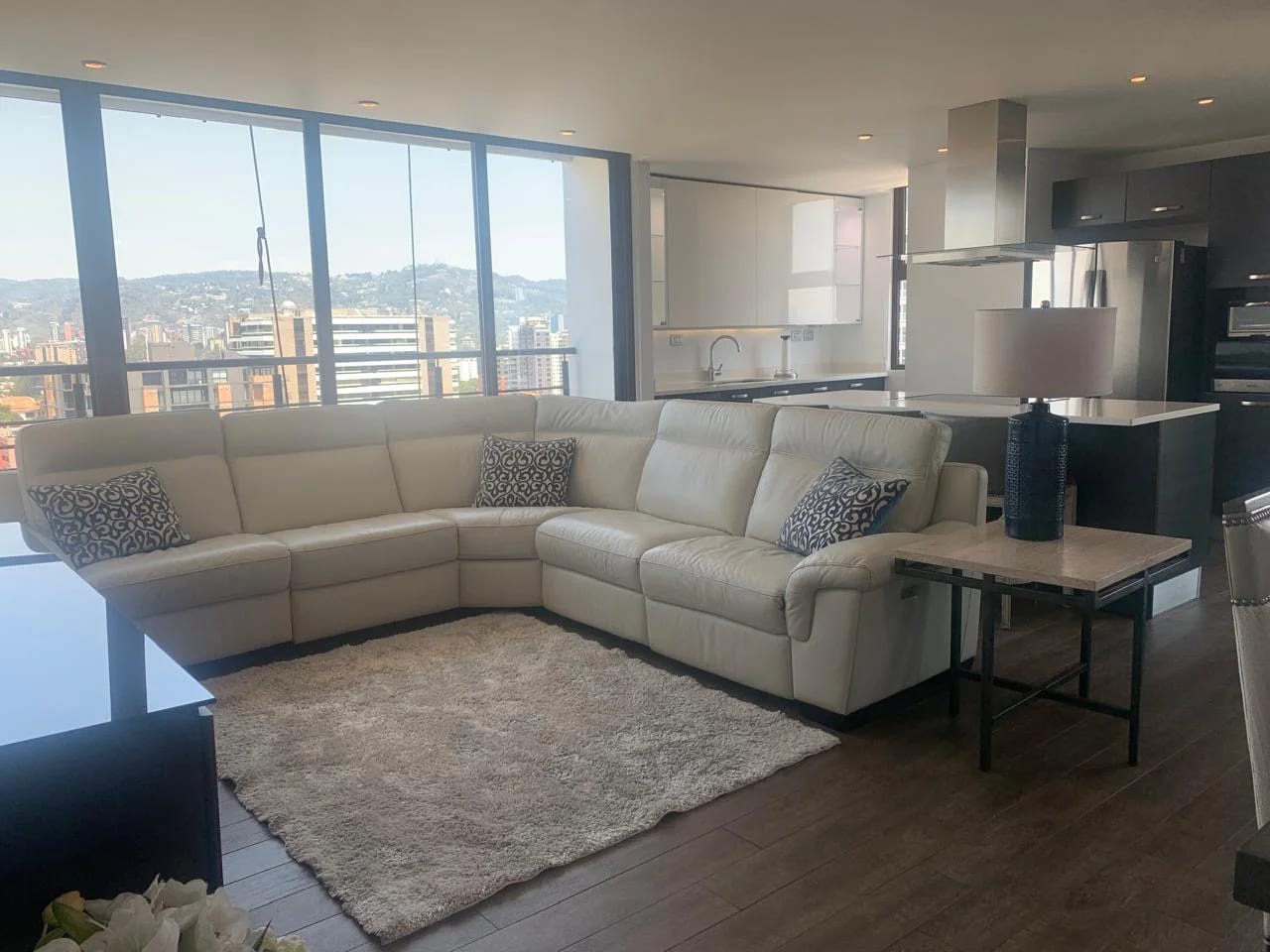 Precioso Apartamento Amueblado en Urbana Z 10 — Apartamento en Alquiler en Urbana, Zona 10, Guatemala, Ciudad — foto 1 de 17