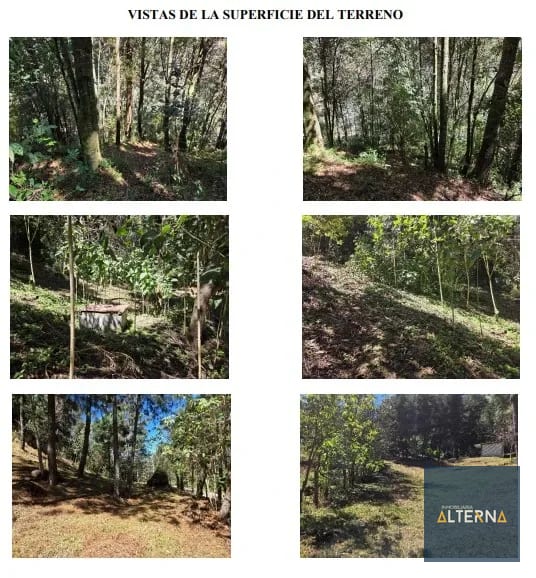 TERRENO EN RENTA EN TECPAN Ideal para parque ecologico — Terreno en Alquiler en Tecpán, Chimaltenango — foto 2 de 5