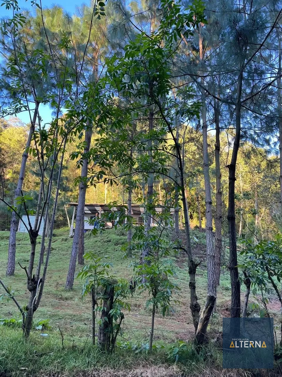 TERRENO EN RENTA EN TECPAN Ideal para parque ecologico — Terreno en Alquiler en Tecpán, Chimaltenango — foto 4 de 5
