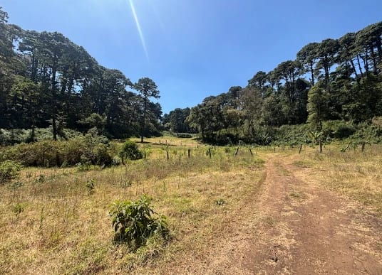 Terrenos en Zona 16 (Opción 1) — Terreno en Venta en Zona 16, Guatemala, Ciudad — foto 1 de 7
