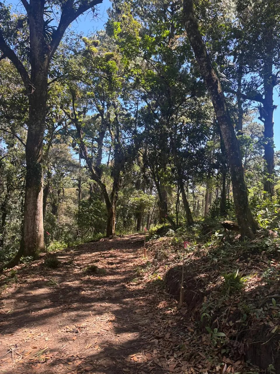 Terrenos en Zona 16 (Opción 2) — Terreno en Venta en Zona 16, Guatemala, Ciudad — foto 3 de 7