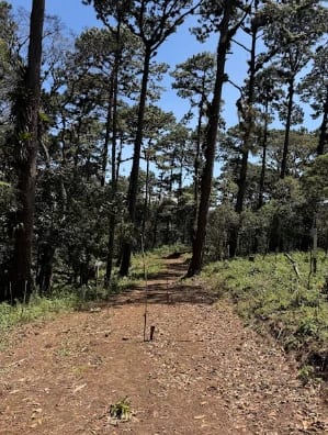 Terrenos en Zona 16 (Opción 2) — Terreno en Venta en Zona 16, Guatemala, Ciudad — foto 5 de 7