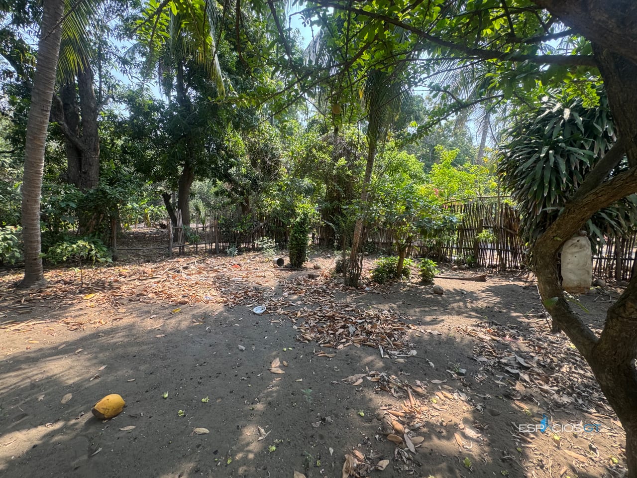 Terreno en el Paredón 3 Cuadras Playa — Terreno en Venta en Sipacate, Escuintla — foto 4 de 8