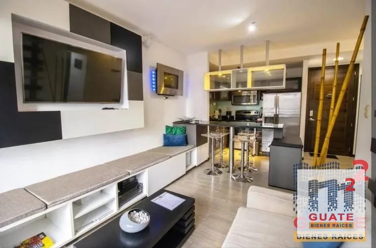 Apartamento en Renta, Zona 10 — Apartamento en Alquiler en Zona 10, Guatemala, Ciudad — foto 2 de 12