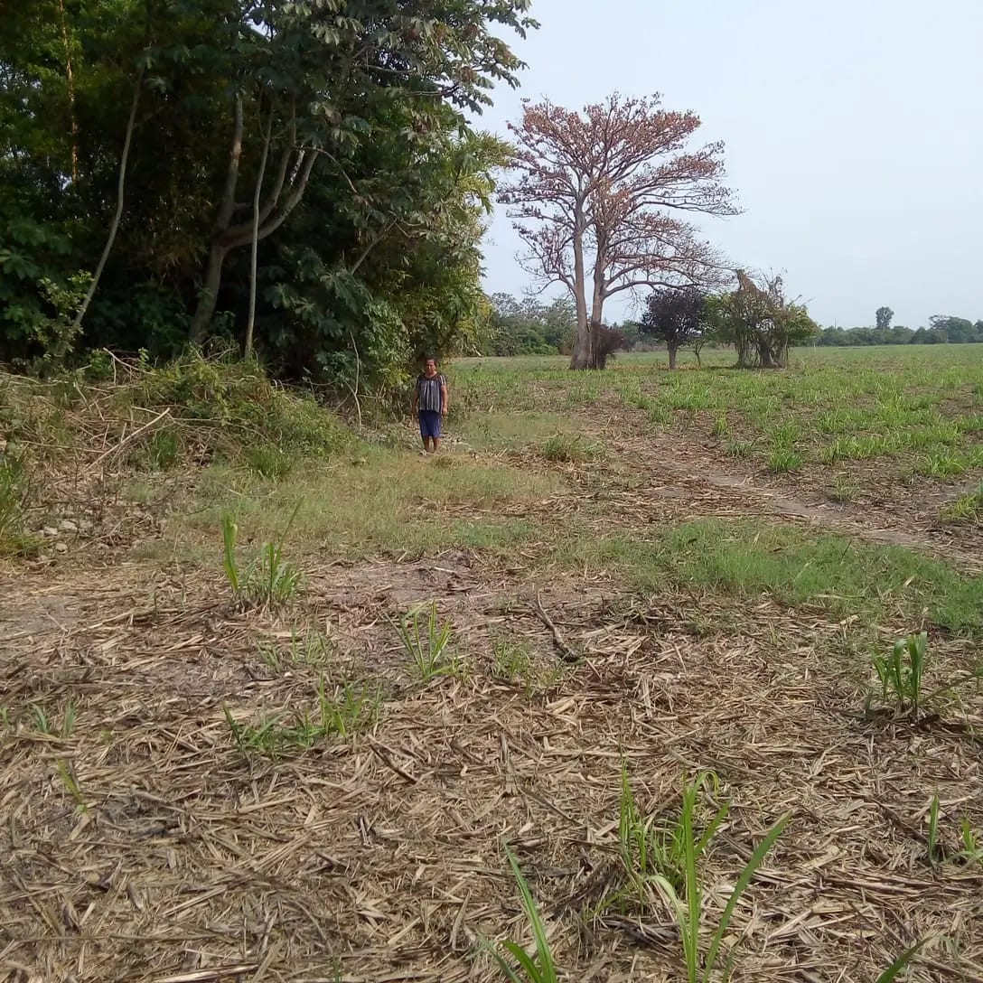 Para invertir terreno en venta — Finca en Venta en Puerto San José, Escuintla — foto 3 de 6