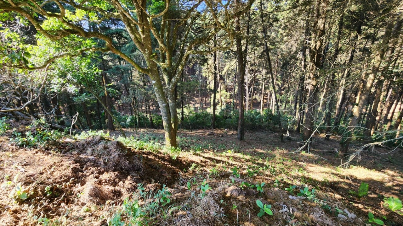 Terreno en Venta en Condominio MONTE CRISTO, San José Pinula — Terreno en Venta en San José Pinula, Guatemala, Ciudad — foto 3 de 6