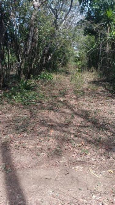 🔥 PRECIO DE REMATE 🔥 ¡Tu refugio natural listo para construir! Terreno en Bosque Nevado 🌲🏡 — Terreno en Venta en Villa Canales, Guatemala, Ciudad — foto 5 de 5