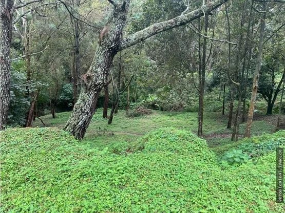 Terreno en Venta Hacienda San Ángel San José Pinula — Terreno en Venta en San José Pinula, Guatemala, Ciudad — foto 6 de 12