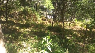 Vendo Terreno, Zona 1 Mixco. — Terreno en Venta en Zona 1 Mixco, Guatemala, Ciudad — miniatura 2 de 4