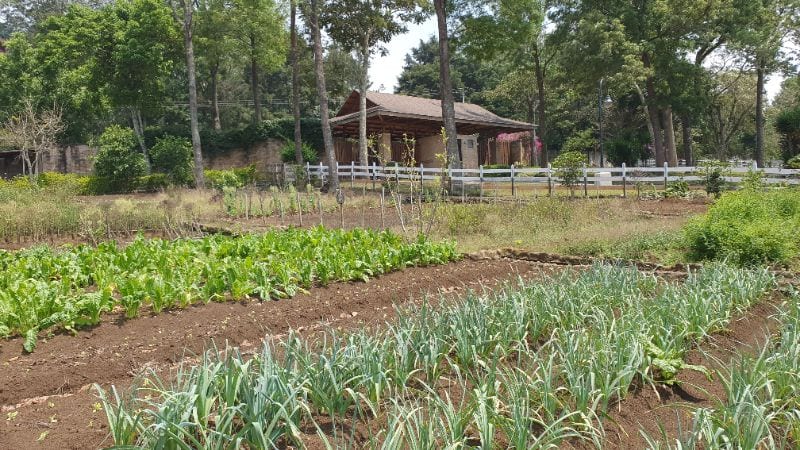 Venta Terreno en Sta Elena del Lago — Terreno en Venta en Carretera a El Salvador, Guatemala, Ciudad — foto 12 de 13