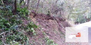 Venta Terreno El Encinal Mixco - Tronco 7 — Terreno en Venta en El Encinal, Zona 7 Mixco, Guatemala, Ciudad — miniatura 10 de 11