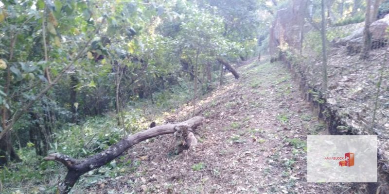 Venta Terreno El Encinal Mixco - Tronco 7 — Terreno en Venta en El Encinal, Zona 7 Mixco, Guatemala, Ciudad — foto 11 de 11