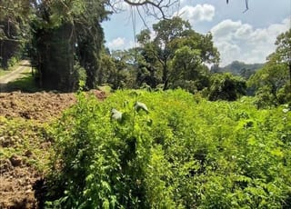 Vendo Amplio Terreno en Granja Buenos Aires, KM 22.5 Carr. al Salvador — Terreno en Venta en Carretera a El Salvador, Guatemala, Ciudad — miniatura 6 de 6