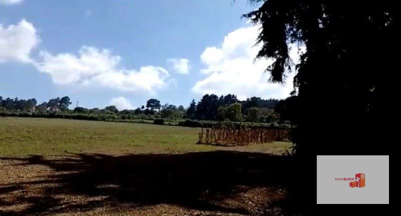 Venta de terreno plano / Magdalena Milpas Altas — Terreno en Venta en Santa Lucía Milpas Altas, Sacatepéquez — foto 4 de 5