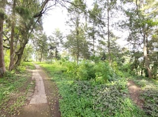 Finca en Venta en San Jose Pinula Camino a los Ocotes — Finca en Venta en San José Pinula, Guatemala, Ciudad — miniatura 5 de 17
