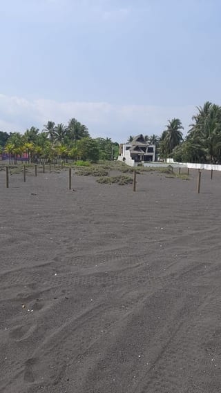 Marena Terreno Puerto en Venta — Terreno en Venta en Marena, Puerto San José, Escuintla — miniatura 2 de 5