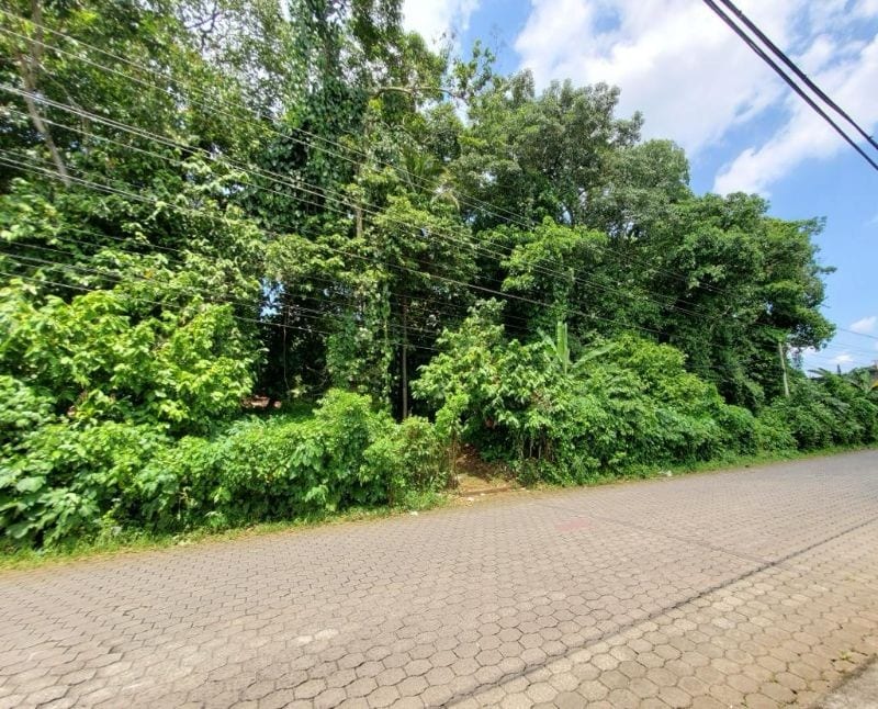 Vendo Terreno Grande en Mazatenango Ideal Desarrollo — Terreno en Venta en Mazatenango, Suchitepéquez — foto 1 de 9
