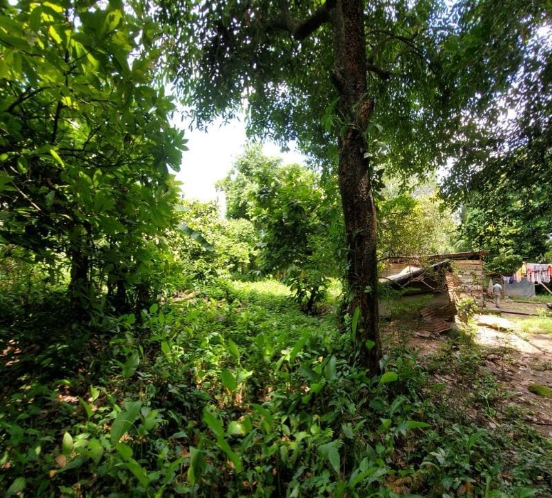 Vendo Terreno Grande en Mazatenango Ideal Desarrollo — Terreno en Venta en Mazatenango, Suchitepéquez — foto 7 de 9