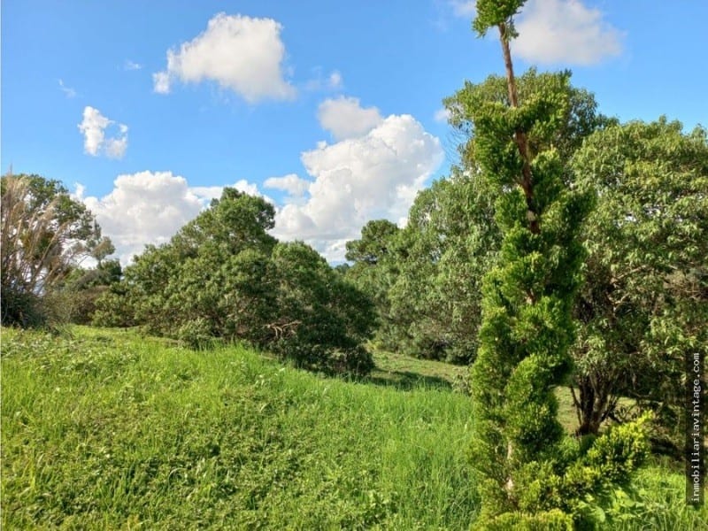 El Pulte Ecuestre Terreno en Venta Zona 16 — Terreno en Venta en El Pulté, Zona 16, Guatemala, Ciudad — foto 7 de 10