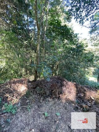 Terreno en lotificación Carr.a El Salvador 1/2 Mz. Km.22.5 — Terreno en Venta en Carretera a El Salvador, Guatemala, Ciudad — miniatura 8 de 10
