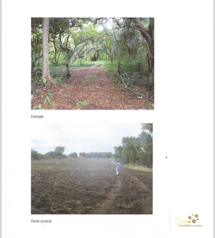 Atención Inversionistas Venta Terreno Monterrico — Terreno en Venta en El Conacaste, Escuintla — foto 4 de 7