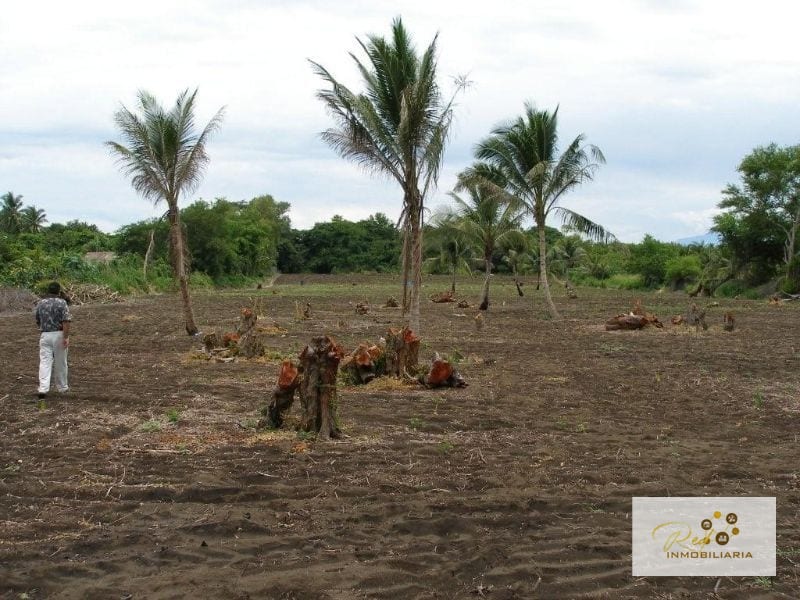 Atención Inversionistas Venta Terreno Monterrico — Terreno en Venta en El Conacaste, Escuintla — foto 5 de 7