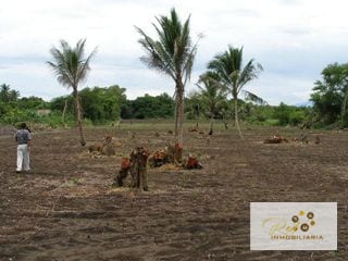 Atención Inversionistas Venta Terreno Monterrico — Terreno en Venta en El Conacaste, Escuintla — miniatura 5 de 7