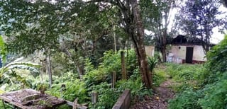Terreno en Venta en Muxbal — Terreno en Venta en Muxbal, Guatemala, Ciudad — miniatura 3 de 3