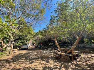 Vendo Terreno con Produccion de Bambú en Puerto San Jose — Terreno en Venta en Puerto San José, Escuintla — miniatura 11 de 13