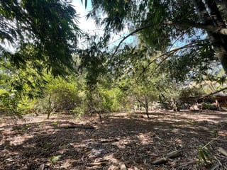 Vendo Terreno con Produccion de Bambú en Puerto San Jose — Terreno en Venta en Puerto San José, Escuintla — miniatura 13 de 13