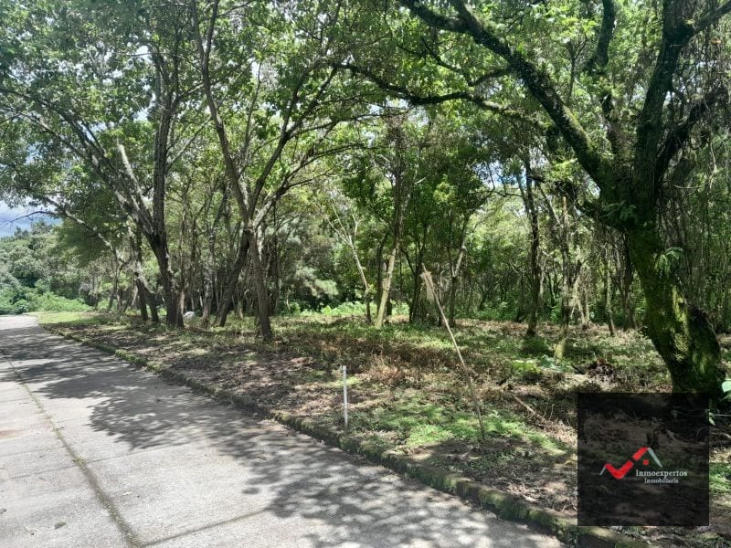 Terreno en Venta Carretera a el Salvador Casa y Campo KM. 23.5 — Terreno en Venta en Carretera a El Salvador, Guatemala, Ciudad — foto 9 de 9