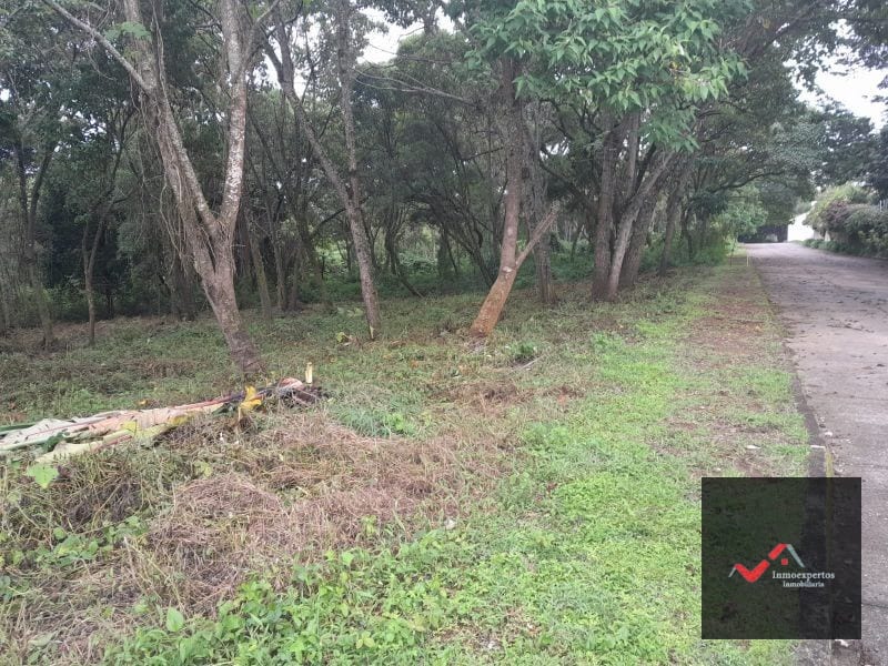 Terreno en Venta Carretera a el Salvador Casa y Campo KM. 23.5 — Terreno en Venta en Carretera a El Salvador, Guatemala, Ciudad — foto 5 de 9