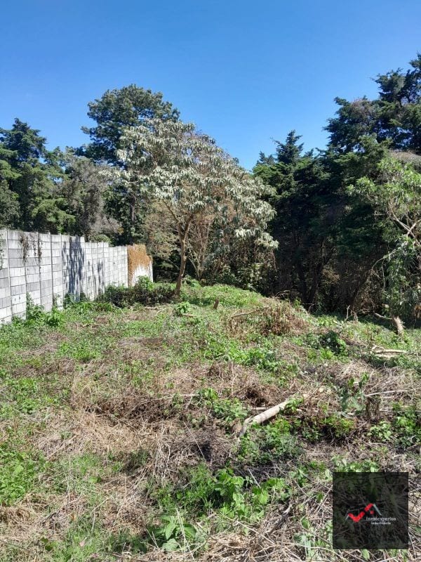 Terreno en Venta Carretera a el Salvador KM 23.5 Casa y Campo — Terreno en Venta en Carretera a El Salvador, Guatemala, Ciudad — foto 7 de 9
