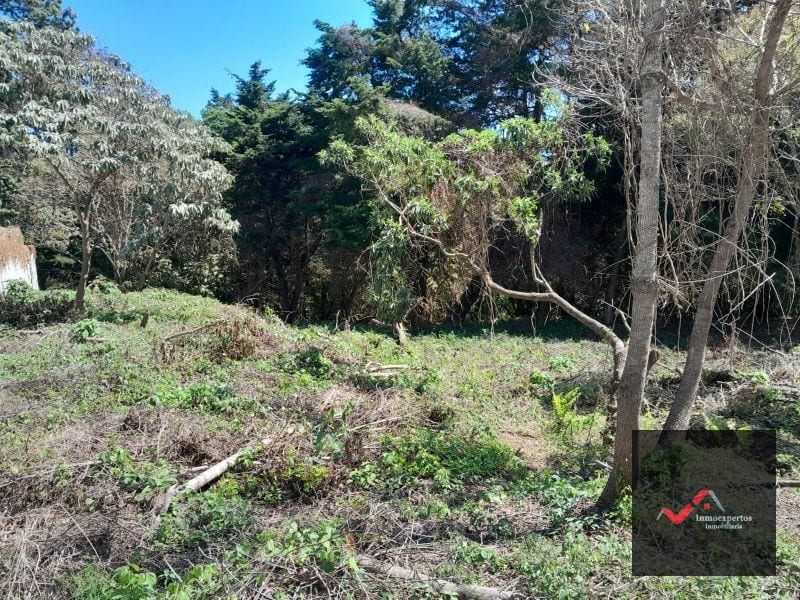 Terreno en Venta Carretera a el Salvador KM 23.5 Casa y Campo — Terreno en Venta en Carretera a El Salvador, Guatemala, Ciudad — foto 3 de 9