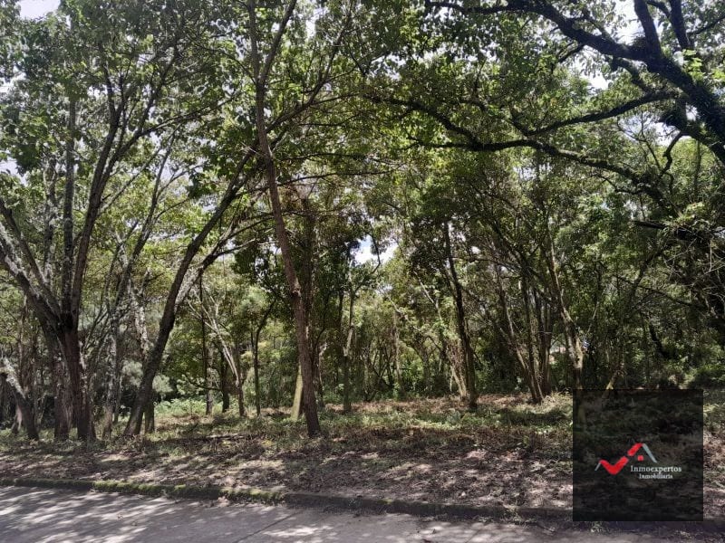 Terreno en Venta Carretera a el Salvador Casa y Campo KM. 23.5 — Terreno en Venta en Carretera a El Salvador, Guatemala, Ciudad — foto 4 de 9