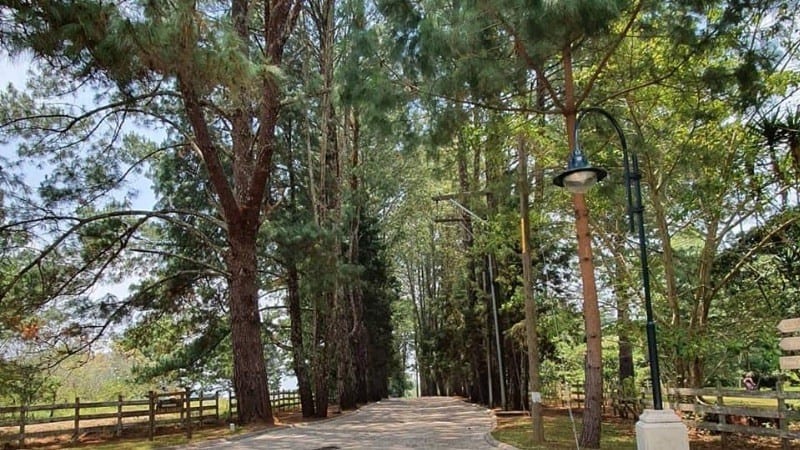 Venta Terreno en Santa Elena del Lago. KM. 32 Santa Elena Barillas — Terreno en Venta en Santa Elena Barillas, Guatemala, Ciudad — foto 15 de 16