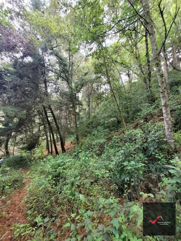 Terreno en Venta San Lucas, Sacatepequez — Terreno en Venta en San Lucas Sacatepéquez, Sacatepéquez — foto 7 de 12
