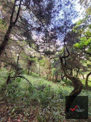 Terreno en Venta San Lucas, Sacatepequez — Terreno en Venta en San Lucas Sacatepéquez, Sacatepéquez — miniatura 6 de 12
