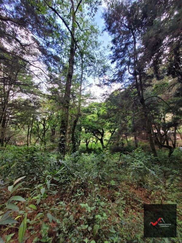 Terreno en Venta San Lucas, Sacatepequez — Terreno en Venta en San Lucas Sacatepéquez, Sacatepéquez — foto 4 de 12