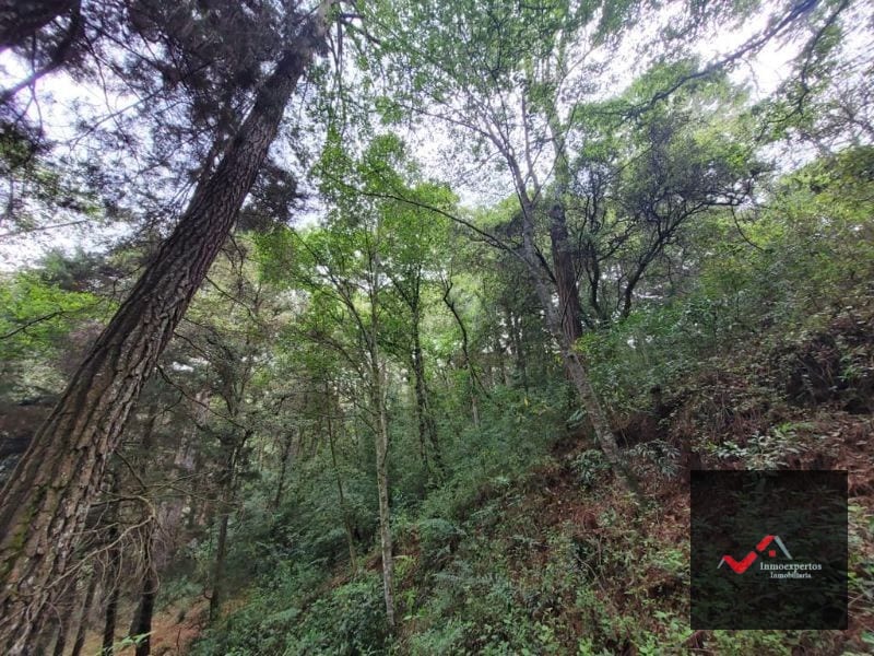 Terreno en Venta San Lucas, Sacatepequez — Terreno en Venta en San Lucas Sacatepéquez, Sacatepéquez — foto 10 de 12
