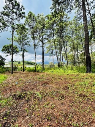 Terreno en Venta en Hacienda las Llanuras Sumpango — Terreno en Venta en Sumpango, Sacatepéquez — miniatura 12 de 12