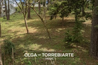 Terreno en San Miguel Buena Vista — Terreno en Venta en Santa Catarina Pinula, Guatemala, Ciudad — miniatura 2 de 4