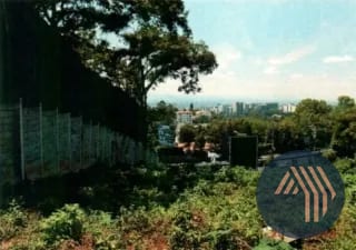 Alquiler de Terreno Sobre Carretera - KM. 8.5 CES — Terreno en Alquiler en San Rafael, Carretera a El Salvador, Guatemala, Ciudad — miniatura 6 de 10