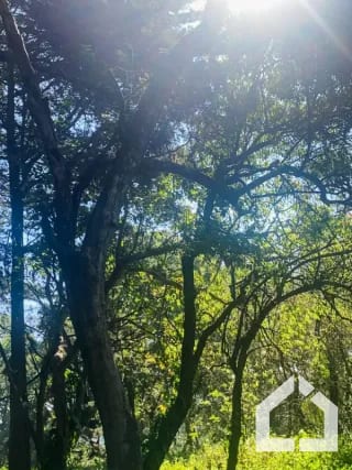 Terreno plano en venta en Condominio Premier Campestre, CAES — Terreno en Venta en Premier Campestre, Carretera a El Salvador, Guatemala, Ciudad — miniatura 12 de 13