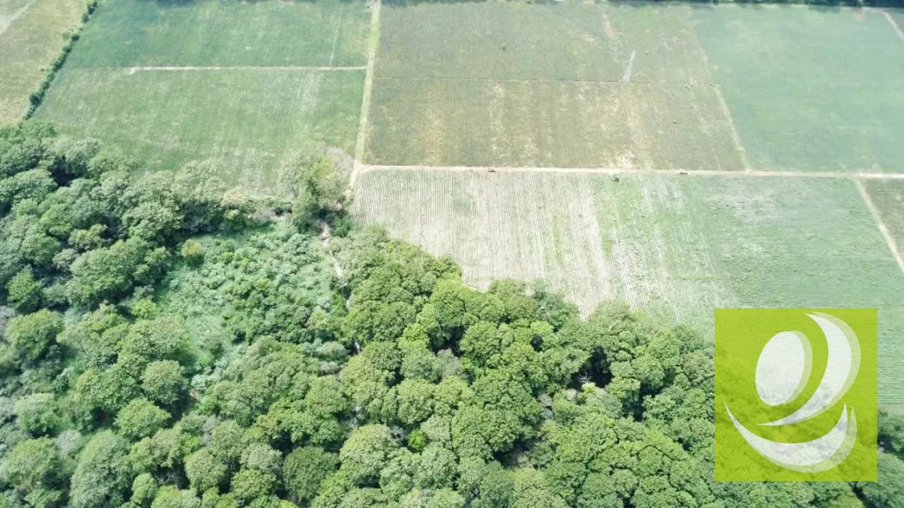 En Venta Terreno Plano de 17 Manzanas en el Jocotillo — Terreno en Venta en planes de barcenas, Carretera a El Salvador, Guatemala, Ciudad — foto 4 de 5