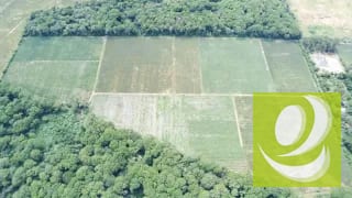 En Venta Terreno Plano de 17 Manzanas en el Jocotillo — Terreno en Venta en planes de barcenas, Carretera a El Salvador, Guatemala, Ciudad — miniatura 5 de 5